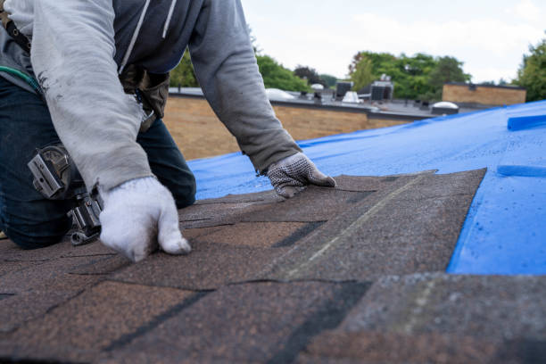 Best Roof Replacement Cost  in Westchester, FL