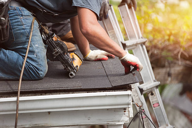 Best Gutter Installation and Roofing  in Westchester, FL