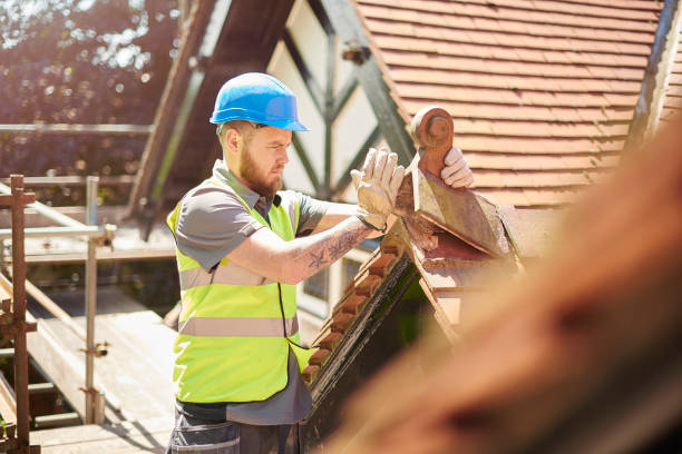 Best Roof Gutter Cleaning  in Westchester, FL